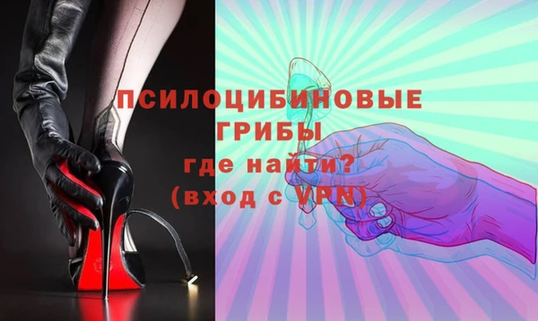 PSILOCYBIN Вяземский